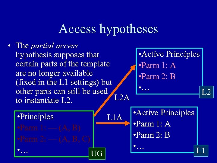 Access hypotheses • The partial access hypothesis supposes that certain parts of the template