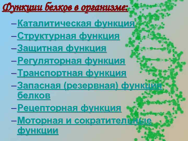 Функции белков в организме: – Каталитическая функция – Структурная функция – Защитная функция –