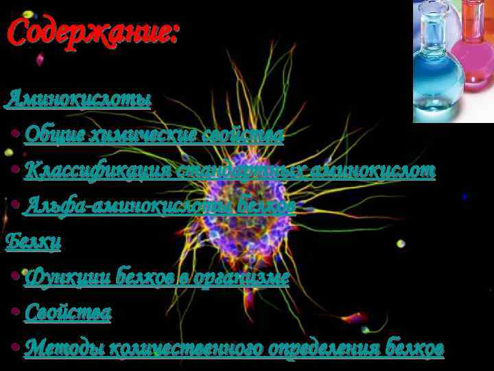 Содержание: Аминокислоты • Общие химические свойства • Классификация стандартных аминокислот • Альфа-аминокислоты белков Белки