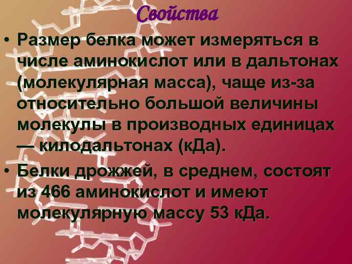 Свойства • Размер белка может измеряться в числе аминокислот или в дальтонах (молекулярная масса),