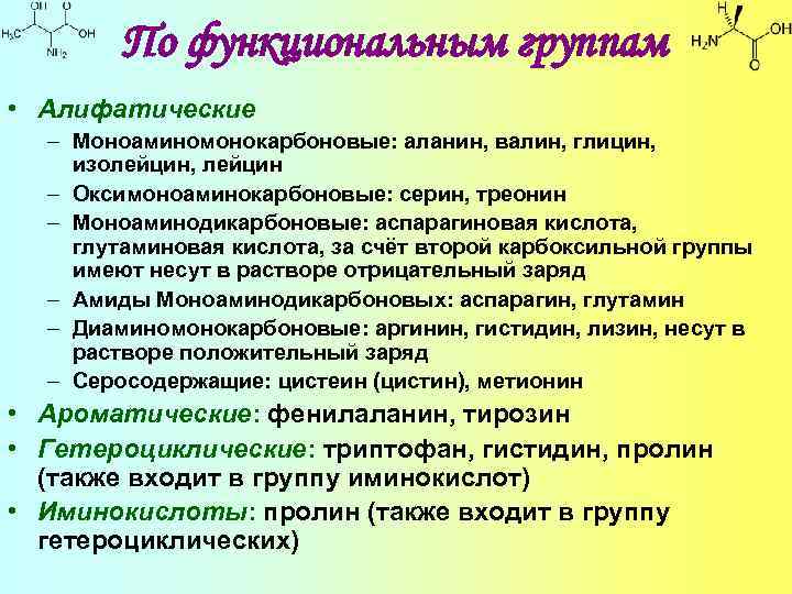 По функциональным группам • Алифатические – Моноаминомонокарбоновые: аланин, валин, глицин, изолейцин, лейцин – Оксимоноаминокарбоновые: