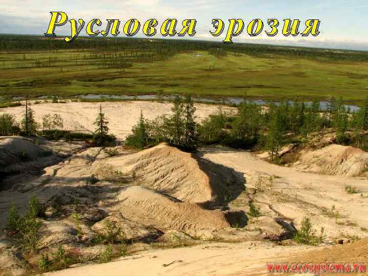 Русловая эрозия 