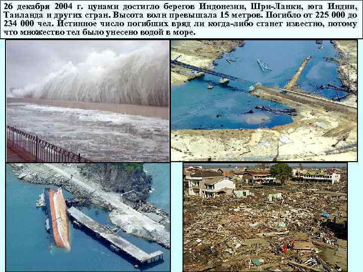 26 декабря 2004 г. цунами достигло берегов Индонезии, Шри-Ланки, юга Индии, Таиланда и других