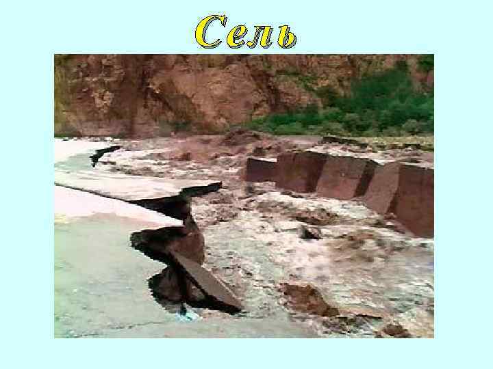 Сель 