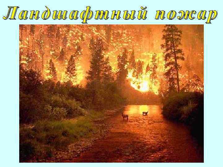 Ландшафтный пожар 