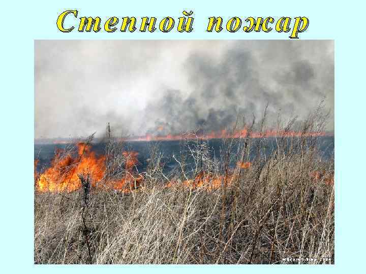 Степной пожар 