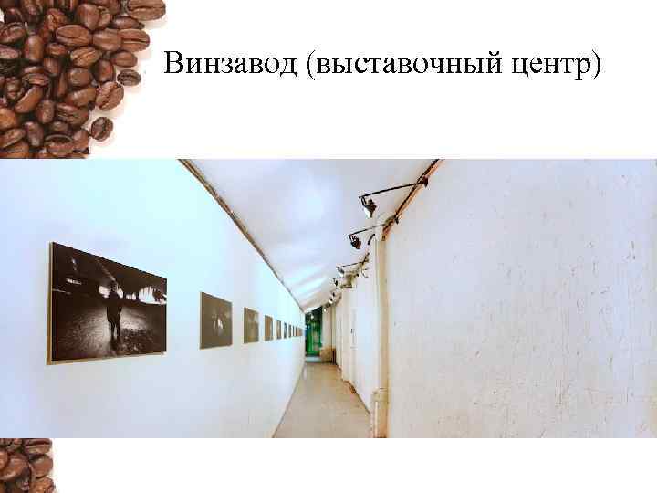 Винзавод (выставочный центр) 