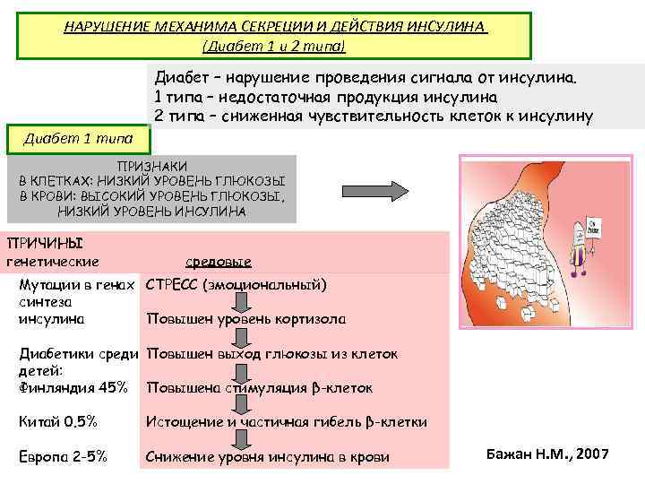 НАРУШЕНИЕ МЕХАНИМА СЕКРЕЦИИ И ДЕЙСТВИЯ ИНСУЛИНА (Диабет 1 и 2 типа) Диабет – нарушение