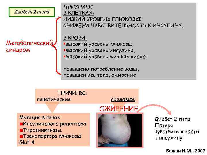 Диабет 2 типа Метаболический синдром ПРИЗНАКИ В КЛЕТКАХ: НИЗКИЙ УРОВЕНЬ ГЛЮКОЗЫ СНИЖЕНА ЧУВСТВИТЕЛЬНОСТЬ К