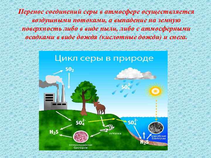 Перенос соединений серы в атмосфере осуществляется воздушными потоками, а выпадение на земную поверхность либо