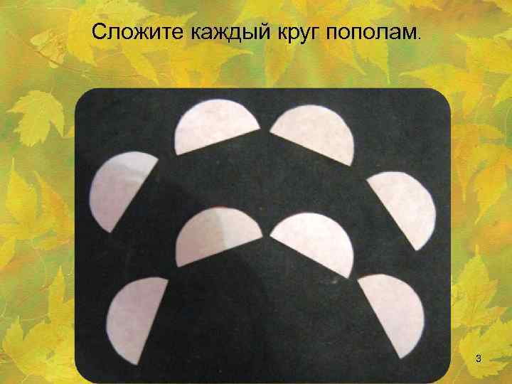 Сложите каждый круг пополам. 3 