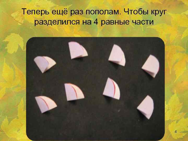 Теперь ещё раз пополам. Чтобы круг разделился на 4 равные части 4 