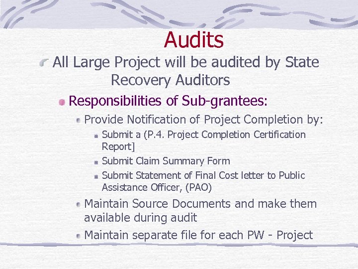 Audits All Large Project will be audited by State Recovery Auditors Responsibilities of Sub-grantees: