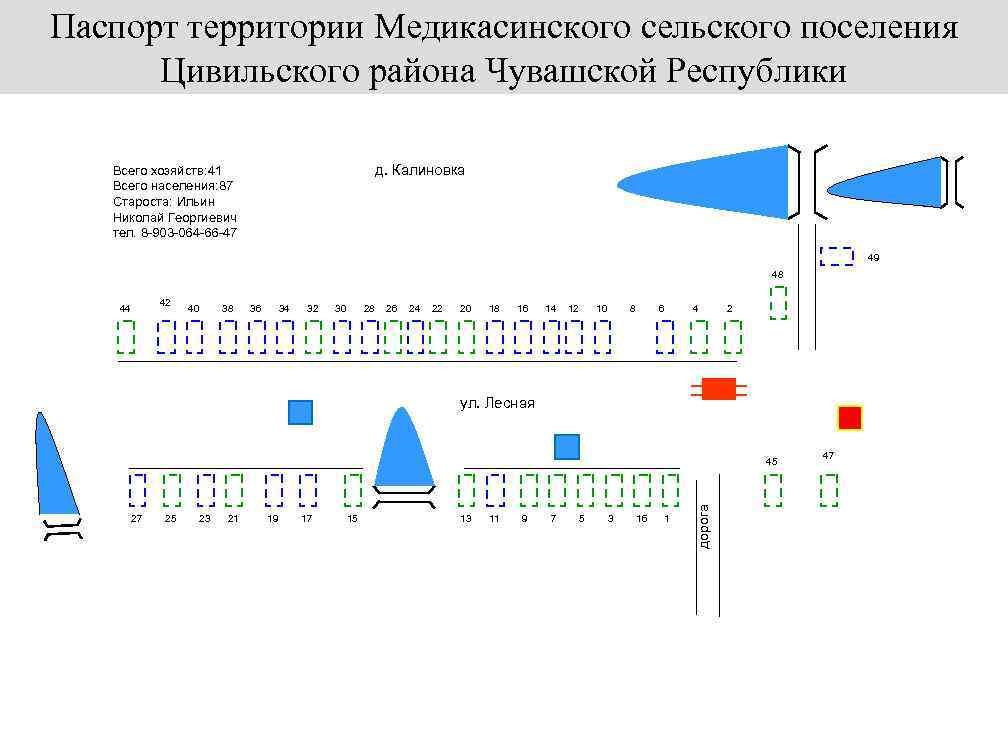 Паспорт территории Медикасинского сельского поселения Цивильского района Чувашской Республики д. Калиновка Всего хозяйств: 41