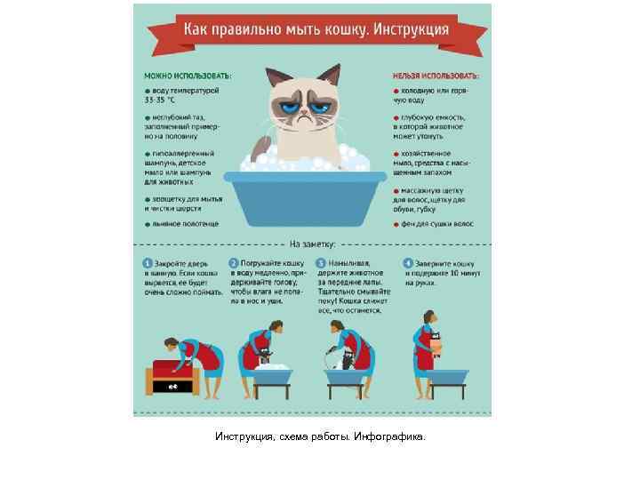 Инструкция, схема работы. Инфографика. 