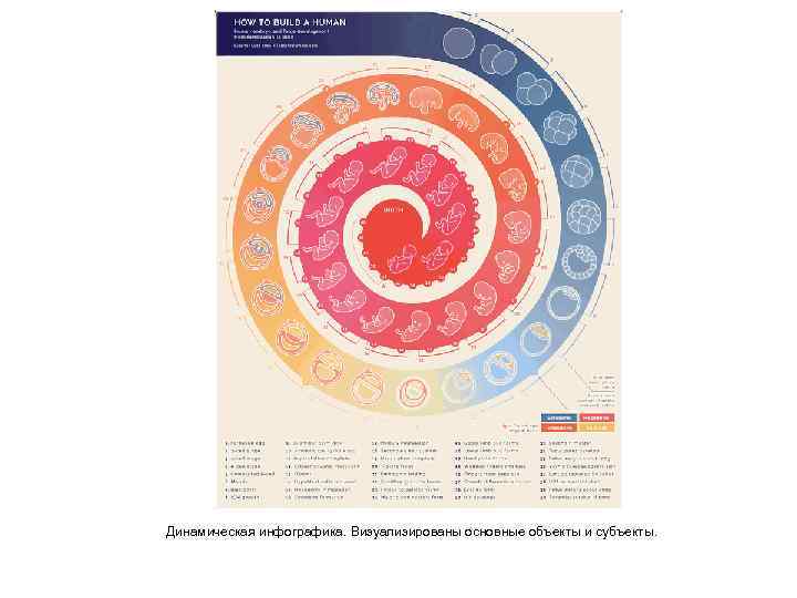 Динамическая инфографика. Визуализированы основные объекты и субъекты. 