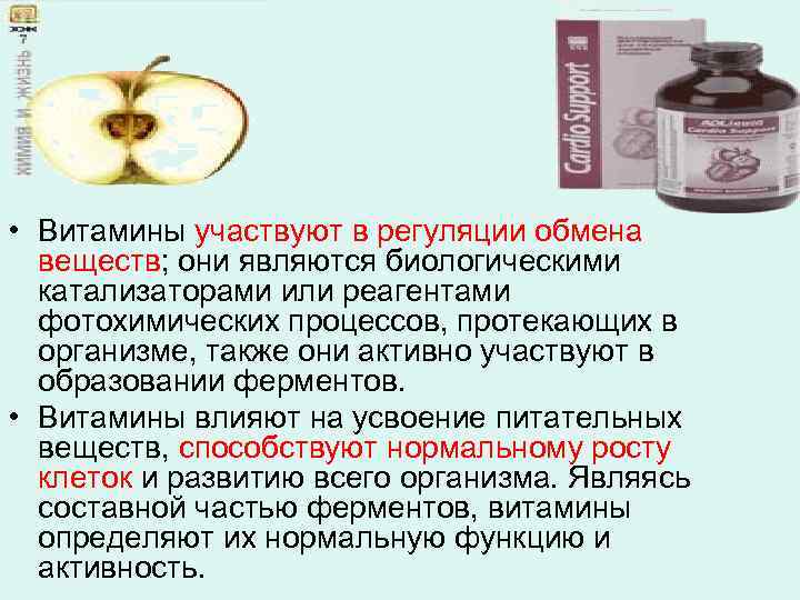  • Витамины участвуют в регуляции обмена веществ; они являются биологическими катализаторами или реагентами