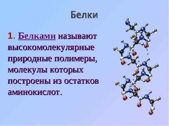 Белки 