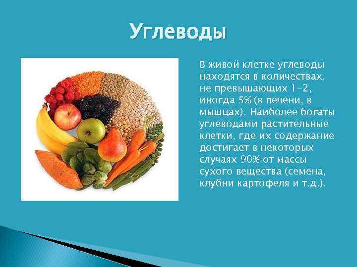 Углеводы В живой клетке углеводы находятся в количествах, не превышающих 1 -2, иногда 5%