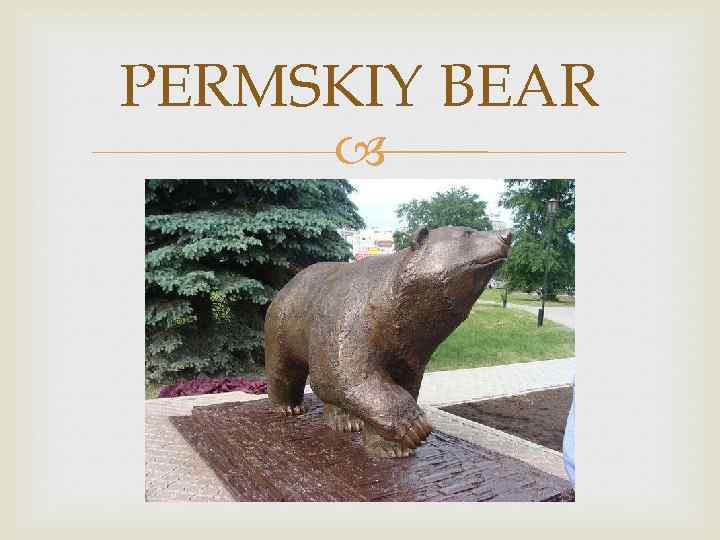PERMSKIY BEAR 