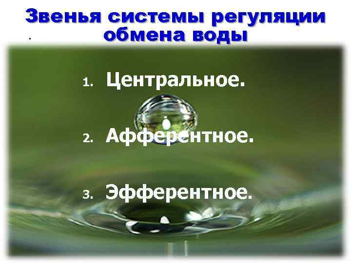 Звенья системы регуляции обмена воды 1. Центральное. 2. Афферентное. 3. Эфферентное. 