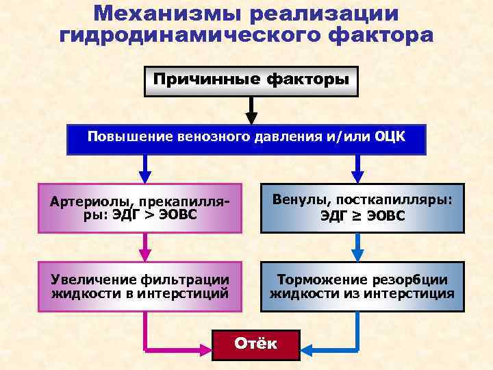 Механизмы реализации гидродинамического фактора Причинные факторы Повышение венозного давления и/или ОЦК Артериолы, прекапилляры: ЭДГ