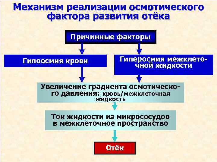 Механизм реализации осмотического фактора развития отёка Причинные факторы Гипоосмия крови Гиперосмия межклеточной жидкости Увеличение