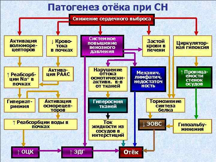 Патогенез отёка при СН Снижение сердечного выброса Активация волюморецепторов ↑ Реабсорбции Na+ в почках