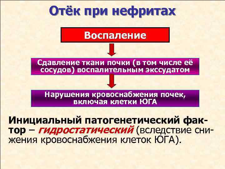 Отёк при нефритах Воспаление Сдавление ткани почки (в том числе её сосудов) воспалительным экссудатом