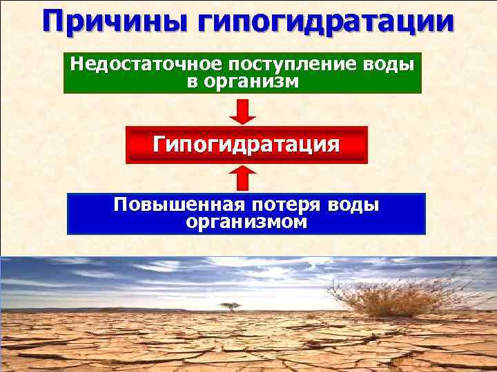 Причины гипогидратации Недостаточное поступление воды в организм Гипогидратация Повышенная потеря воды организмом 