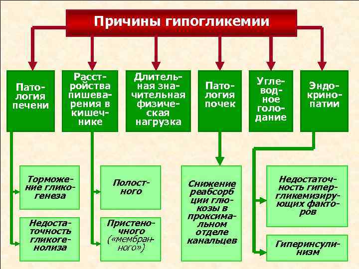 Причины гипогликемии Патология печени Расстройства пишеварения в кишечнике Длительная значительная физическая нагрузка Торможение гликогенеза