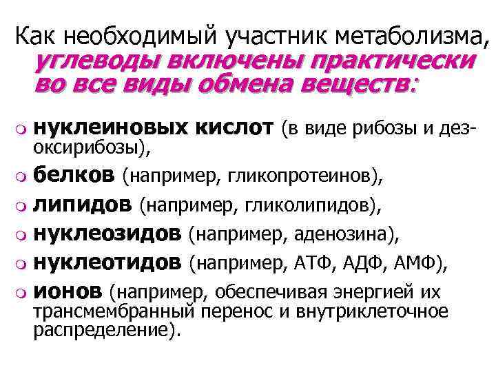 Как необходимый участник метаболизма, углеводы включены практически во все виды обмена веществ: m нуклеиновых