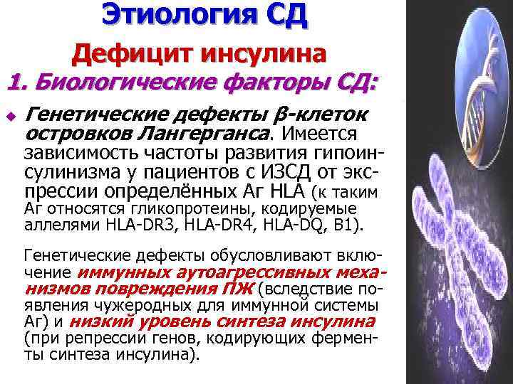 Этиология СД Дефицит инсулина 1. Биологические факторы СД: u Генетические дефекты β-клеток островков Лангерганса.