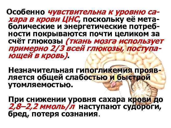 Особенно чувствительна к уровню сахара в крови ЦНС, поскольку её метаболические и энергетические потребности