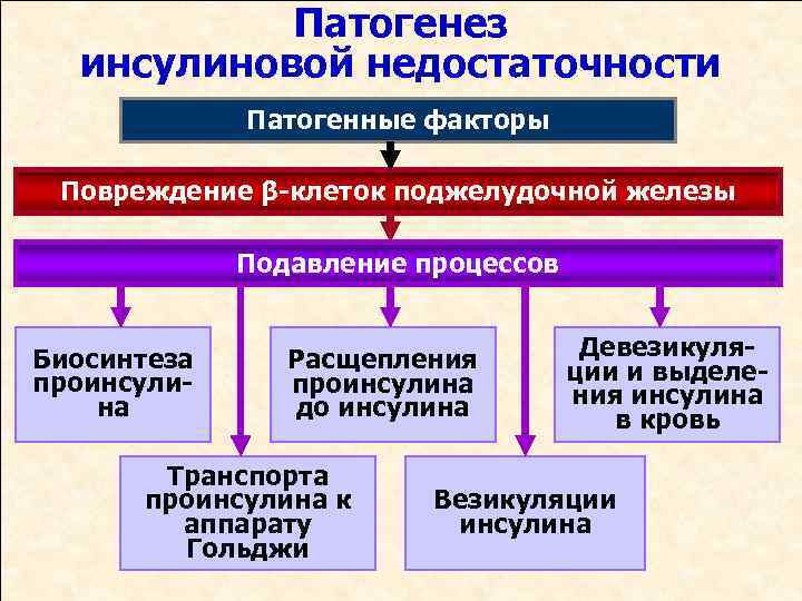 Патогенез инсулиновой недостаточности Патогенные факторы Повреждение β-клеток поджелудочной железы Подавление процессов Биосинтеза проинсулина Расщепления