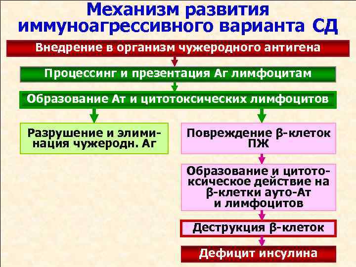 Механизм развития иммуноагрессивного варианта СД Внедрение в организм чужеродного антигена Процессинг и презентация Аг