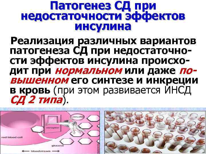 Патогенез СД при недостаточности эффектов инсулина Реализация различных вариантов патогенеза СД при недостаточности эффектов