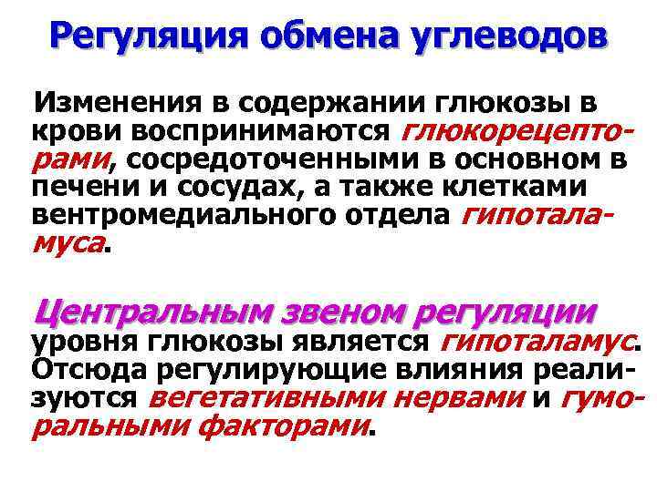 Регуляция обмена углеводов Изменения в содержании глюкозы в крови воспринимаются глюкорецепторами, сосредоточенными в основном