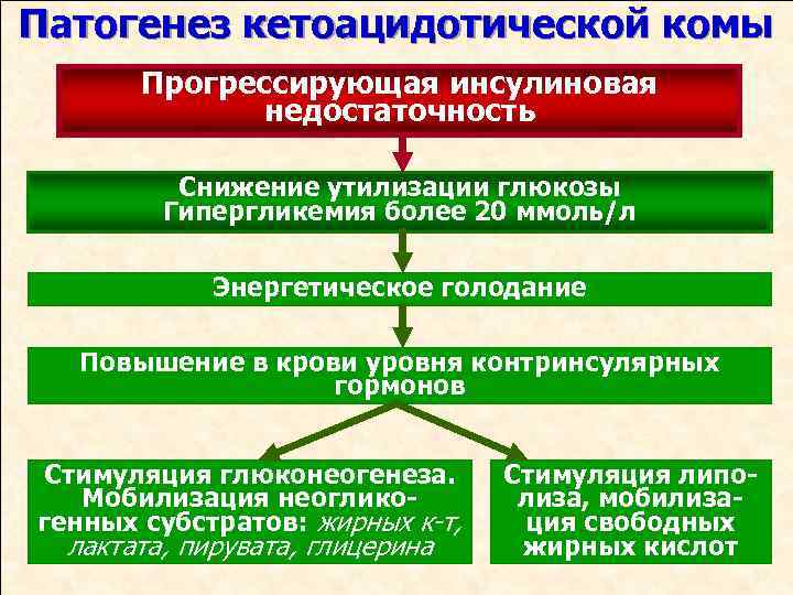 Патогенез кетоацидотической комы Прогрессирующая инсулиновая недостаточность Снижение утилизации глюкозы Гипергликемия более 20 ммоль/л Энергетическое