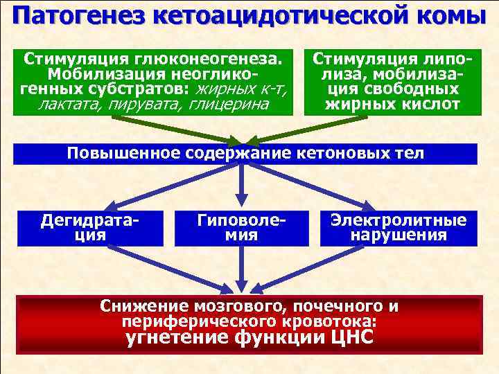 Патогенез кетоацидотической комы Стимуляция глюконеогенеза. Мобилизация неогликогенных субстратов: жирных к-т, лактата, пирувата, глицерина Стимуляция