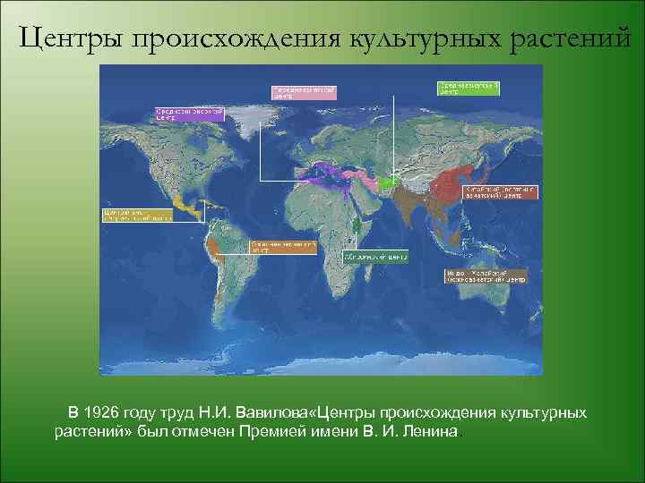 Центры происхождения культурных растений В 1926 году труд Н. И. Вавилова «Центры происхождения культурных