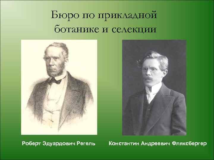 Бюро по прикладной ботанике и селекции Роберт Эдуардович Регель Константин Андреевич Фляксбергер 