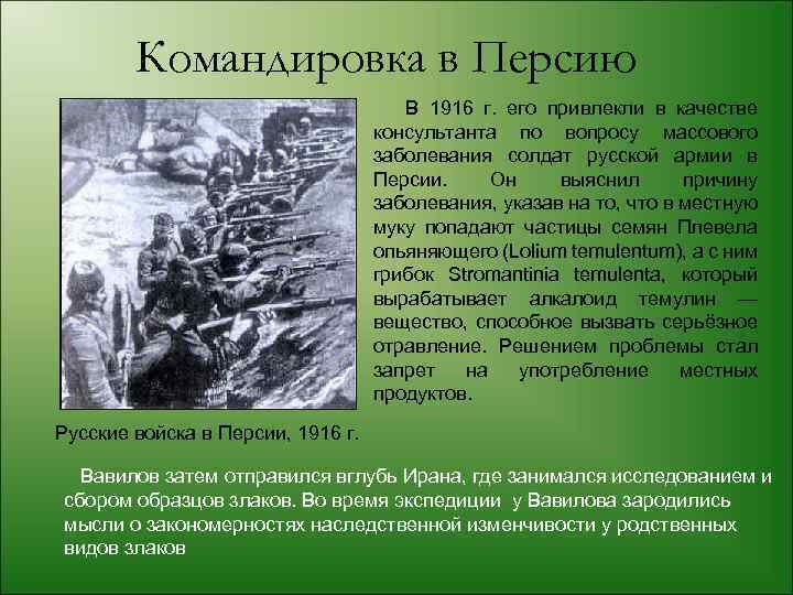 Командировка в Персию В 1916 г. его привлекли в качестве консультанта по вопросу массового