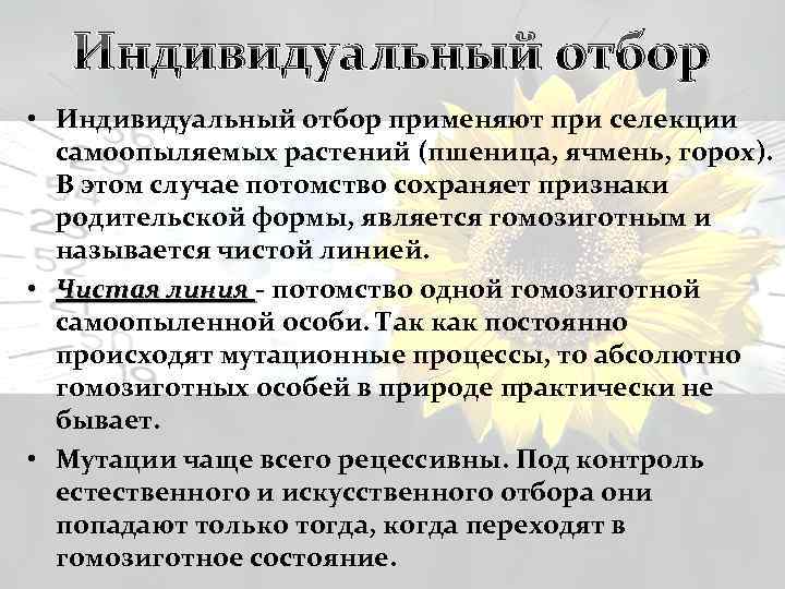 Индивидуальный отбор • Индивидуальный отбор применяют при селекции самоопыляемых растений (пшеница, ячмень, горох). В