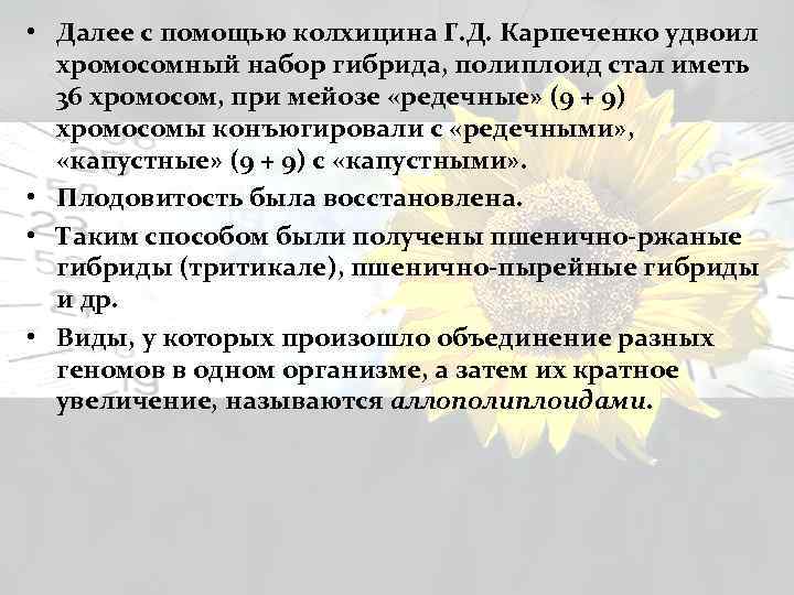  • Далее с помощью колхицина Г. Д. Карпеченко удвоил хромосомный набор гибрида, полиплоид