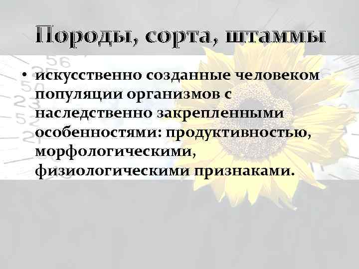 Породы, сорта, штаммы • искусственно созданные человеком популяции организмов с наследственно закрепленными особенностями: продуктивностью,