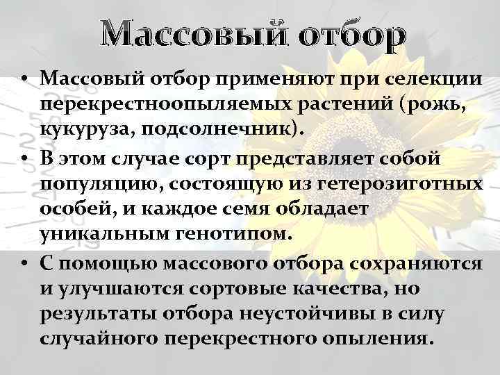 Массовый отбор • Массовый отбор применяют при селекции перекрестноопыляемых растений (рожь, кукуруза, подсолнечник). •