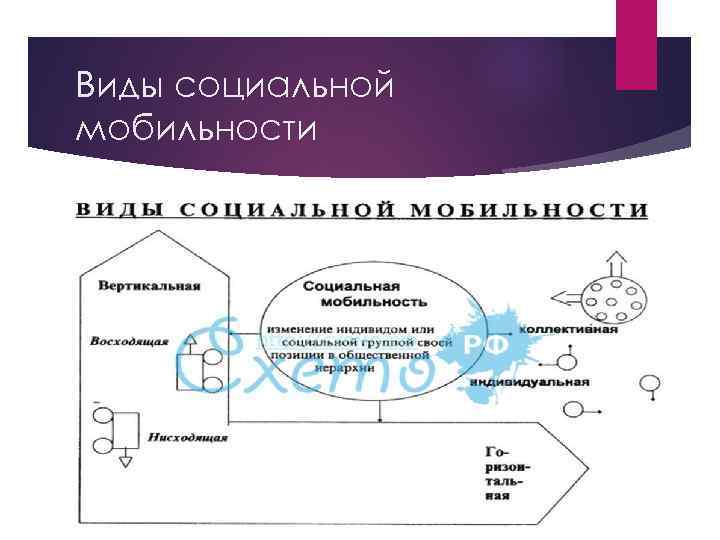 Виды социальной мобильности 