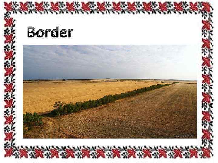 Border 