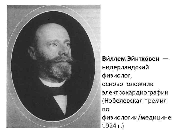 Ви ллем Эйнтхо вен — нидерландский физиолог, основоположник электрокардиографии (Нобелевская премия по физиологии/медицине 1924